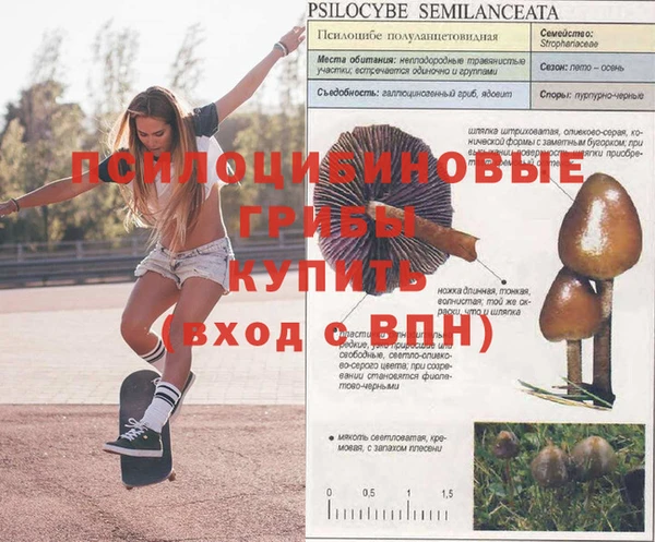 прущая мука Алзамай